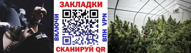 Где можно купить наркотики Гаджиево Cocaine  Бошки Шишки  Мефедрон  A PVP  АМФЕТАМИН  Гашиш 
