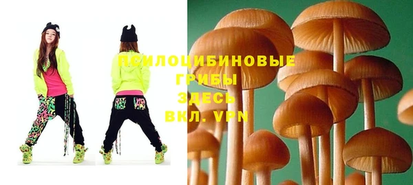 молекула духа Балахна