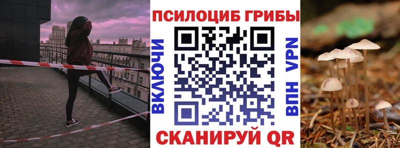Галлюциногенные грибы GOLDEN TEACHER  закладка  Гаджиево 